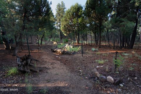 Tiny photo for 3401 W Blazingstar Road, Show Low, AZ 85901 (MLS # 257700)