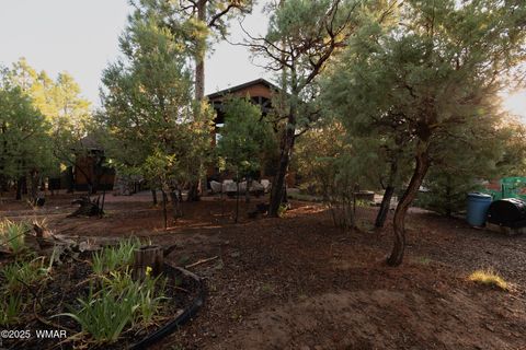 Tiny photo for 3401 W Blazingstar Road, Show Low, AZ 85901 (MLS # 257700)