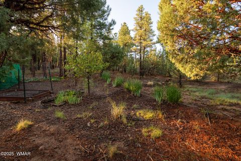 Tiny photo for 3401 W Blazingstar Road, Show Low, AZ 85901 (MLS # 257700)