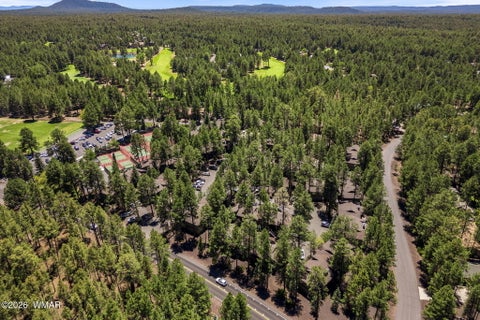 Tiny photo for 2860 Park Circle, Pinetop, AZ 85935 (MLS # 262170)