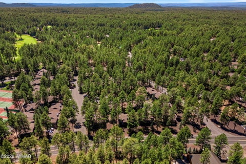 Tiny photo for 2860 Park Circle, Pinetop, AZ 85935 (MLS # 262170)