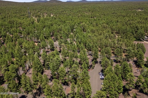 Tiny photo for 2860 Park Circle, Pinetop, AZ 85935 (MLS # 262170)