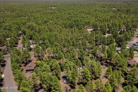 Tiny photo for 2860 Park Circle, Pinetop, AZ 85935 (MLS # 262170)