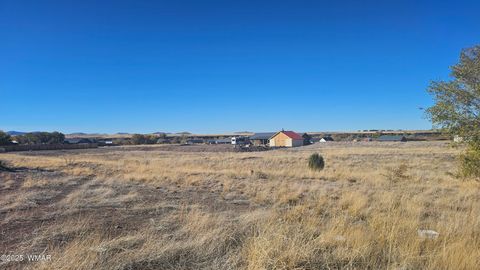 Tiny photo for 434 3rd Avenue, Eagar, AZ 85925 (MLS # 258525)
