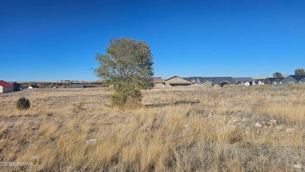 434 3RD AVE, EAGAR, AZ 85925 - Image 0620c2c6da2afeea46e5cc1634898a2e/2344518926