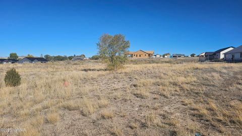 Tiny photo for 434 3rd Avenue, Eagar, AZ 85925 (MLS # 258525)