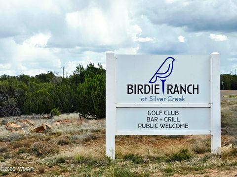 Tiny photo for 8406 Lake View Drive, Show Low, AZ 85901 (MLS # 260387)