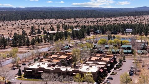 Tiny photo for 2395 Quarter Horse Trail, Overgaard, AZ 85933 (MLS # 255539)