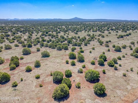 Tiny photo for TBD Cooley 7 Acres, Show Low, AZ 85901 (MLS # 245942)