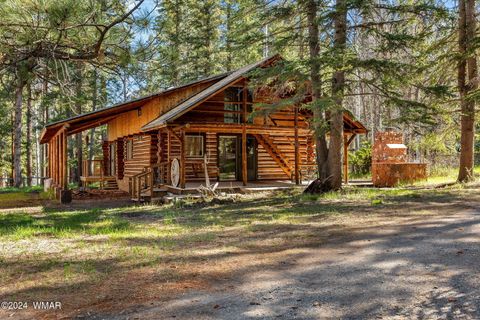 Photo of 7 County Road 2044, Alpine, AZ 85920 (MLS # 259879)