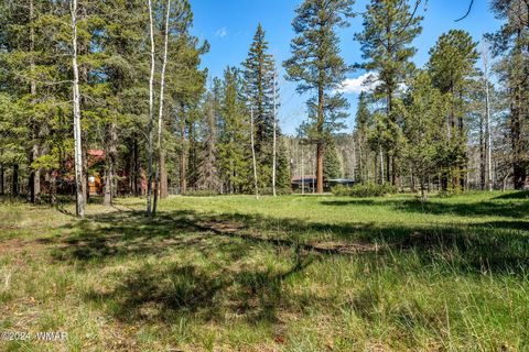 Tiny photo for 7 County Road 2044, Alpine, AZ 85920 (MLS # 259879)