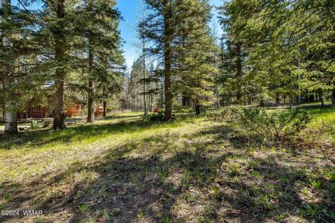 Tiny photo for 7 County Road 2044, Alpine, AZ 85920 (MLS # 259879)