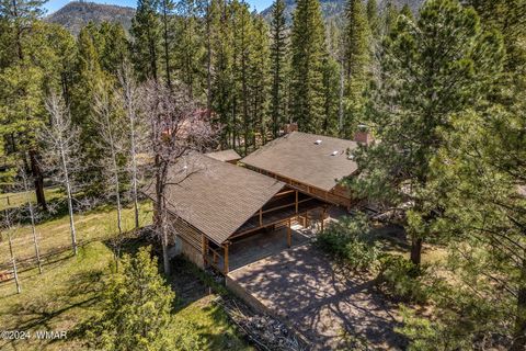 Tiny photo for 7 County Road 2044, Alpine, AZ 85920 (MLS # 259879)