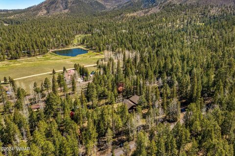 Tiny photo for 7 County Road 2044, Alpine, AZ 85920 (MLS # 259879)