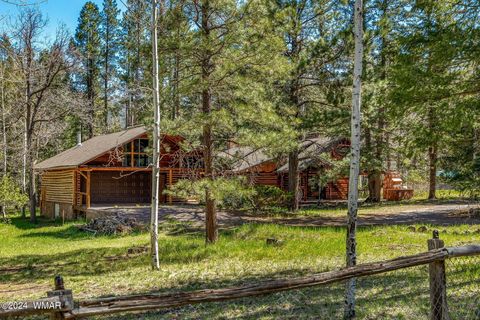 Tiny photo for 7 County Road 2044, Alpine, AZ 85920 (MLS # 259879)