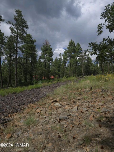 Tiny photo for 953 Miramon Drive, Lakeside, AZ 85929 (MLS # 252803)