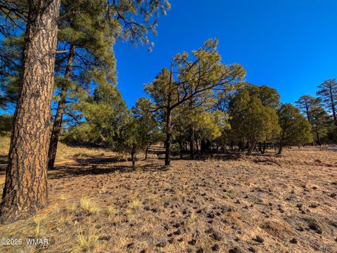 Tiny photo for 1462 Low Mountain Trail, Heber, AZ 85928 (MLS # 259347)