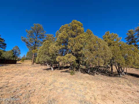 Tiny photo for 1462 Low Mountain Trail, Heber, AZ 85928 (MLS # 259347)