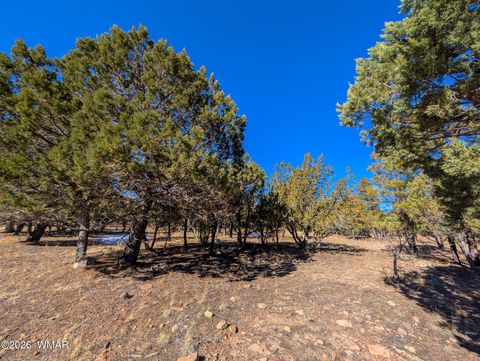 Photo of 1462 Low Mountain Trail, Heber, AZ 85928 (MLS # 259347)