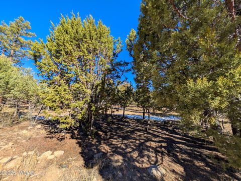 Tiny photo for 1462 Low Mountain Trail, Heber, AZ 85928 (MLS # 259347)
