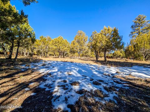 Tiny photo for 1462 Low Mountain Trail, Heber, AZ 85928 (MLS # 259347)