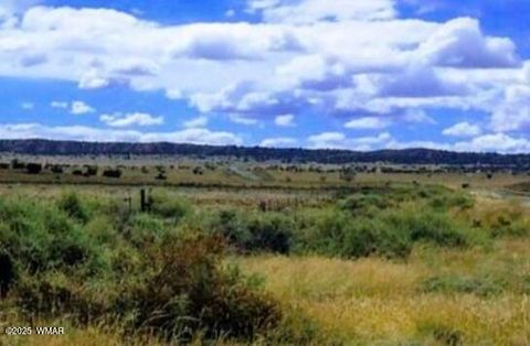 Photo of tbd Bell Brand Ranches Lot 115, Sanders, AZ 86512 (MLS # 258518)