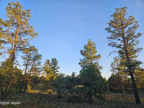 Tiny photo for 4843 Bison Trail, Lakeside, AZ 85929 (MLS # 259735)