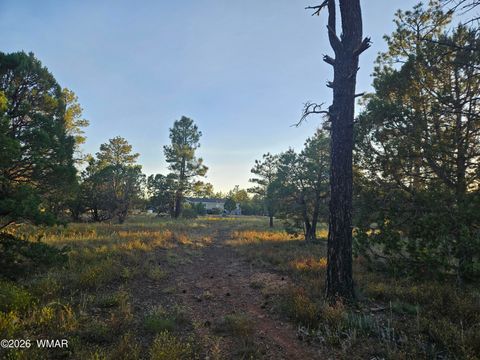 Tiny photo for 4843 Bison Trail, Lakeside, AZ 85929 (MLS # 259735)
