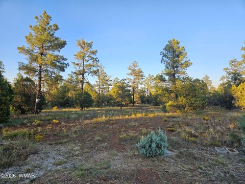 Tiny photo for 4843 Bison Trail, Lakeside, AZ 85929 (MLS # 259735)