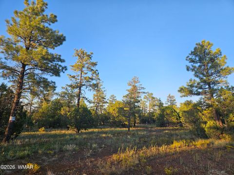 Tiny photo for 4843 Bison Trail, Lakeside, AZ 85929 (MLS # 259735)