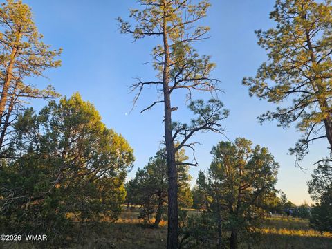 Tiny photo for 4843 Bison Trail, Lakeside, AZ 85929 (MLS # 259735)