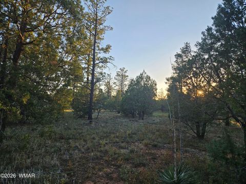 Tiny photo for 4843 Bison Trail, Lakeside, AZ 85929 (MLS # 259735)