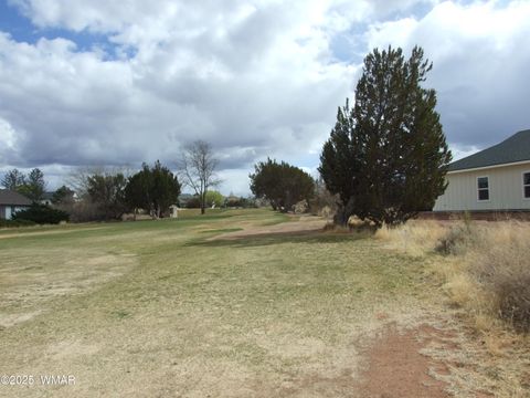 Tiny photo for 67 N Lyon Gate Dr Dr, Snowflake, AZ 85937 (MLS # 255286)