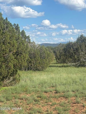 TBD N 8388, CONCHO, AZ 85924 - Image 079f7b7b68c869fca23fee23bb90baee/1121996114