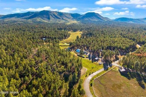 Tiny photo for 158 County Road 2266, Alpine, AZ 85920 (MLS # 263540)