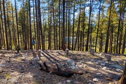 Tiny photo for 158 County Road 2266, Alpine, AZ 85920 (MLS # 263540)