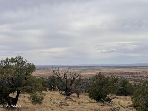 Tiny photo for 001 N8526, Concho, AZ 85924 (MLS # 259229)