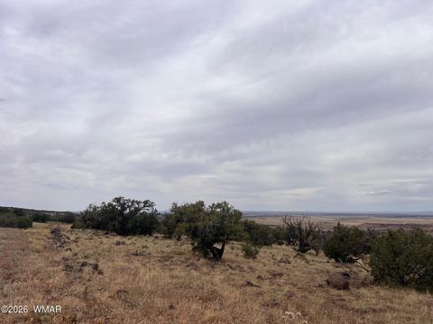 Tiny photo for 001 N8526, Concho, AZ 85924 (MLS # 259229)