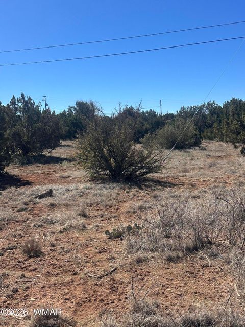 Tiny photo for 1795 Cox Drive, Show Low, AZ 85901 (MLS # 260182)