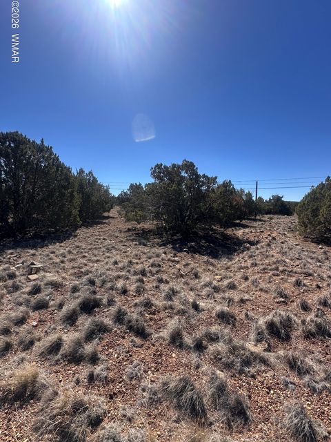 Tiny photo for 1795 Cox Drive, Show Low, AZ 85901 (MLS # 260182)