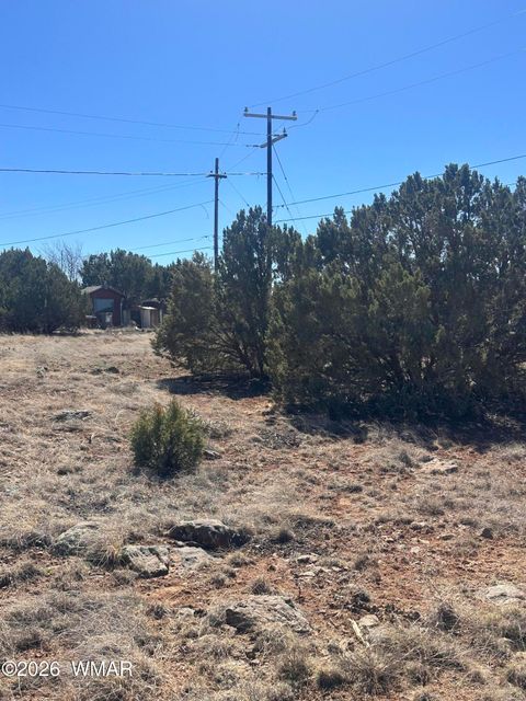 Tiny photo for 1795 Cox Drive, Show Low, AZ 85901 (MLS # 260182)