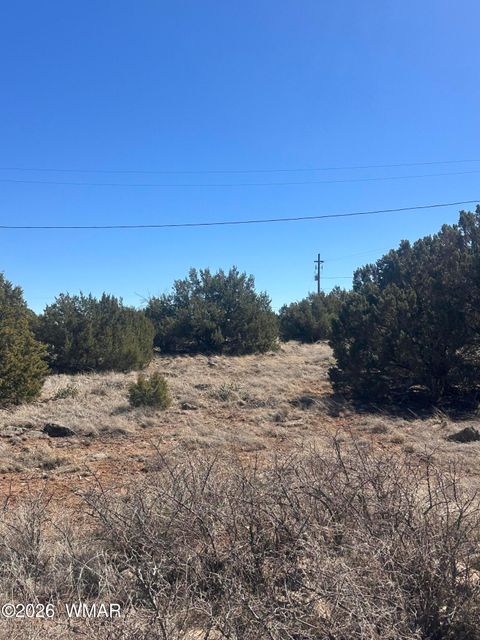 Photo of 1795 Cox Drive, Show Low, AZ 85901 (MLS # 260182)