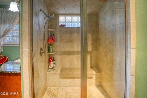 Tiny photo for 109 Power Lane, Taylor, AZ 85939 (MLS # 258790)