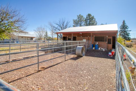 Tiny photo for 109 Power Lane, Taylor, AZ 85939 (MLS # 258790)