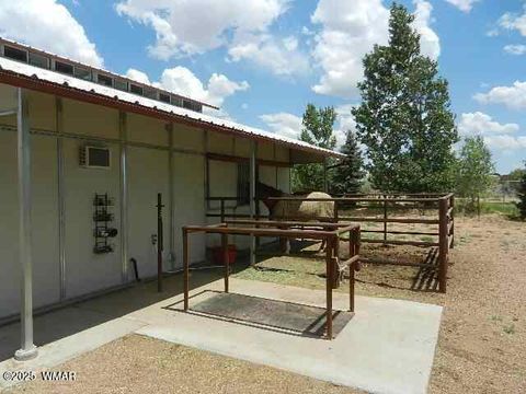 Tiny photo for 109 Power Lane, Taylor, AZ 85939 (MLS # 258790)