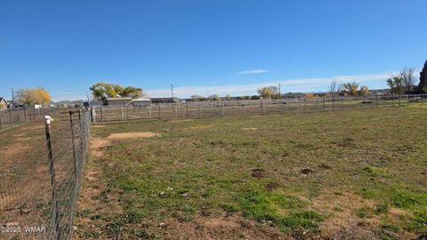 Tiny photo for 109 Power Lane, Taylor, AZ 85939 (MLS # 258790)