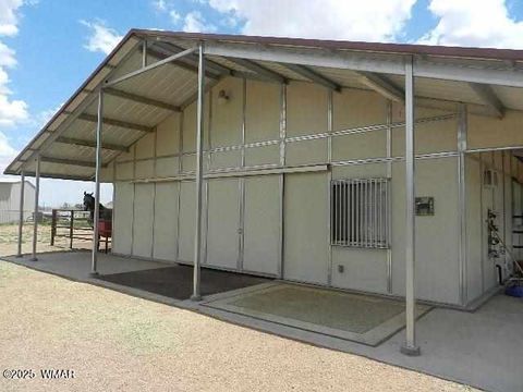 Tiny photo for 109 Power Lane, Taylor, AZ 85939 (MLS # 258790)