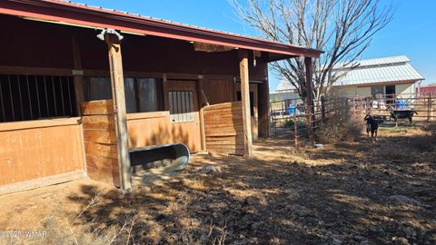 Tiny photo for 109 Power Lane, Taylor, AZ 85939 (MLS # 258790)