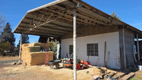 Tiny photo for 109 Power Lane, Taylor, AZ 85939 (MLS # 258790)