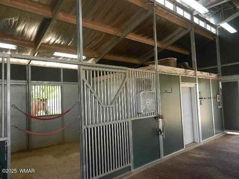 Tiny photo for 109 Power Lane, Taylor, AZ 85939 (MLS # 258790)